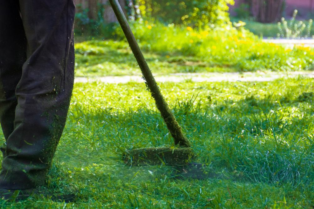 A person uses a rake to gather freshly cut grass in a sunny garden setting.