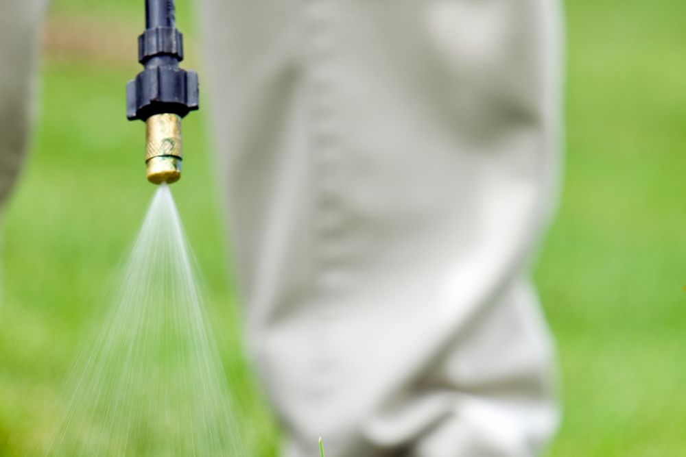 A person watering grass with a hose, spraying water to nourish the lawn under bright sunlight.