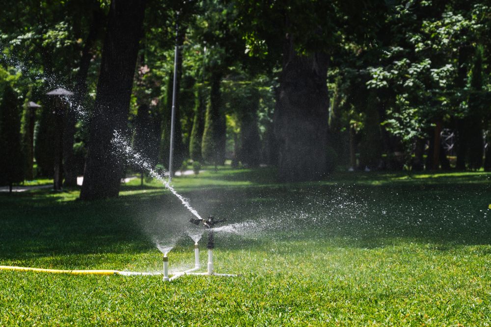 A sprinkler sprays water over a lush green grassy area, creating a refreshing scene in a sunny outdoor setting.