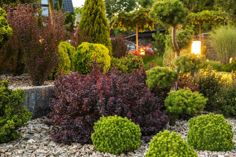 A lush garden featuring a variety of shrubs and trees, showcasing diverse foliage and vibrant greenery.