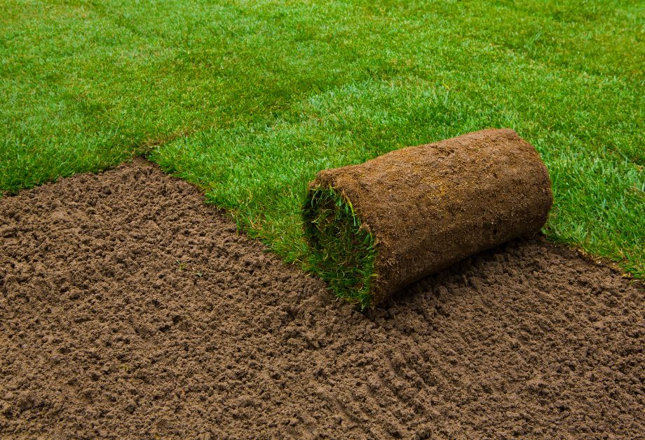 A roll of freshly cut grass is resting on the ground, showcasing its vibrant green color and natural texture.