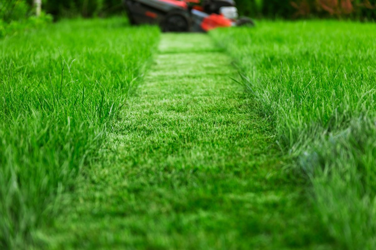 A lawn mower operates in a lush green field, efficiently cutting the grass to maintain a neat appearance