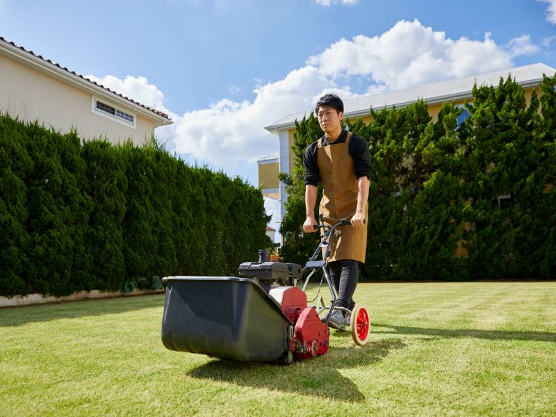 Fort Worth's climate and soil play a big role in how and when you should fertilize your lawn.