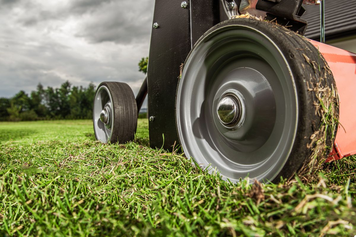 Detailed view of a lawn mower positioned on vibrant grass, highlighting its cutting mechanism and structure.
