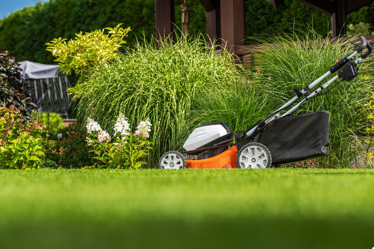 A lawn mower rests on a patch of green grass, ready for use in maintaining the lawn's appearance.
